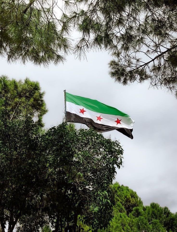 8 ديسمبر 

يومٌ يظل في الذاكرة السورية، يذكّرنا بسنوات الألم والأمل، وبصمود شعبٍ لم يفقد حقه في الحياة 🇸🇾.