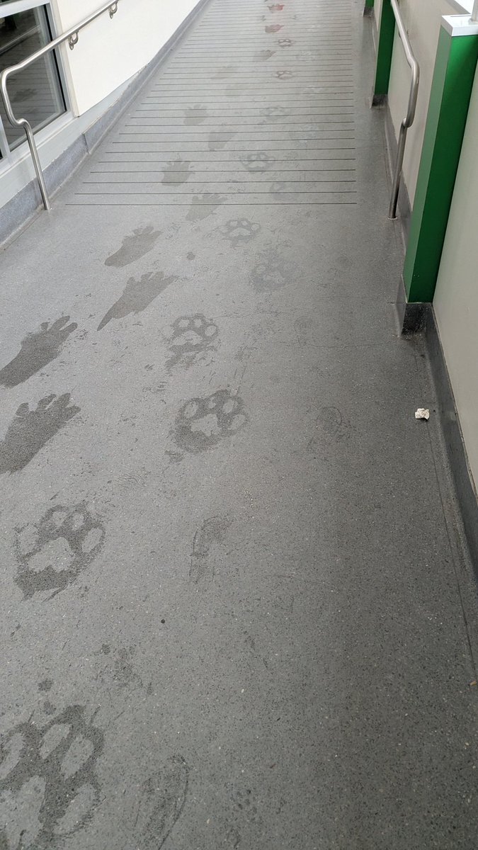 CoffeeToddy's tweet image. #MFF2025