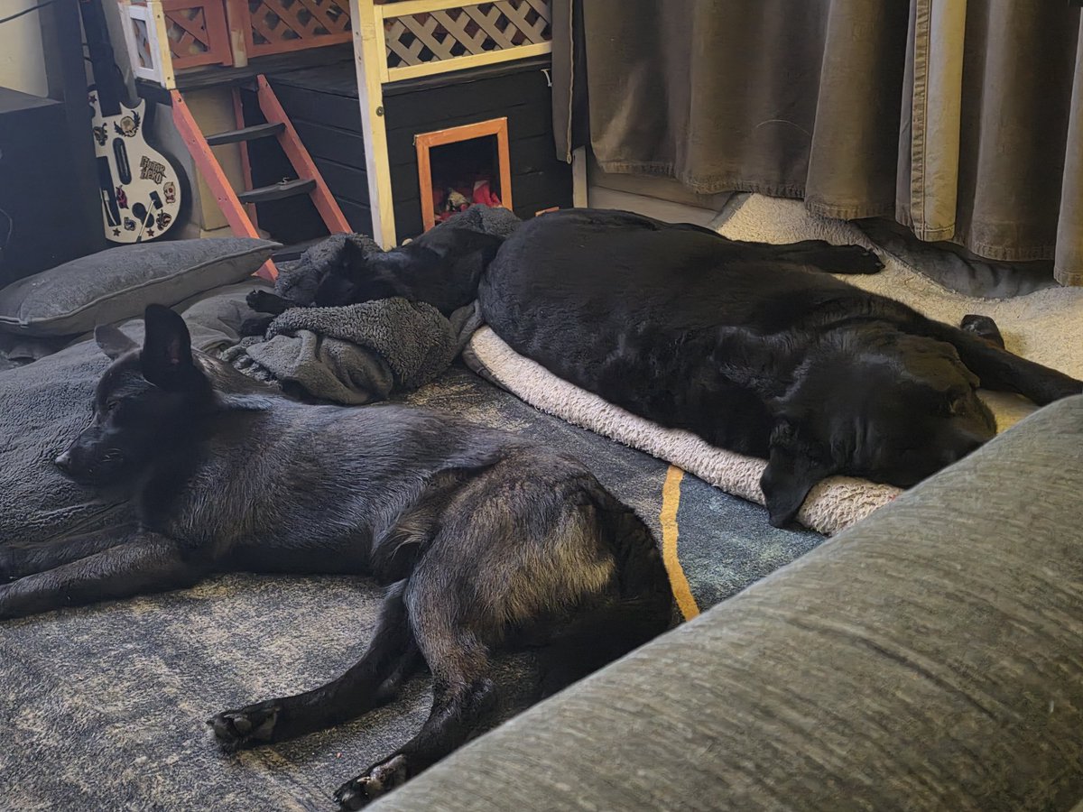 We are having a very eepy night 😴