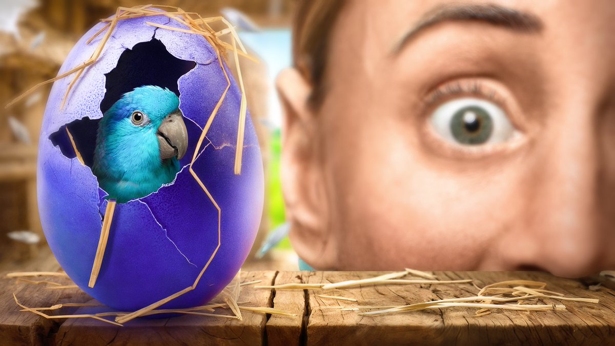 Vitaliy Shade / Thumbnail designer🎨 tweet media