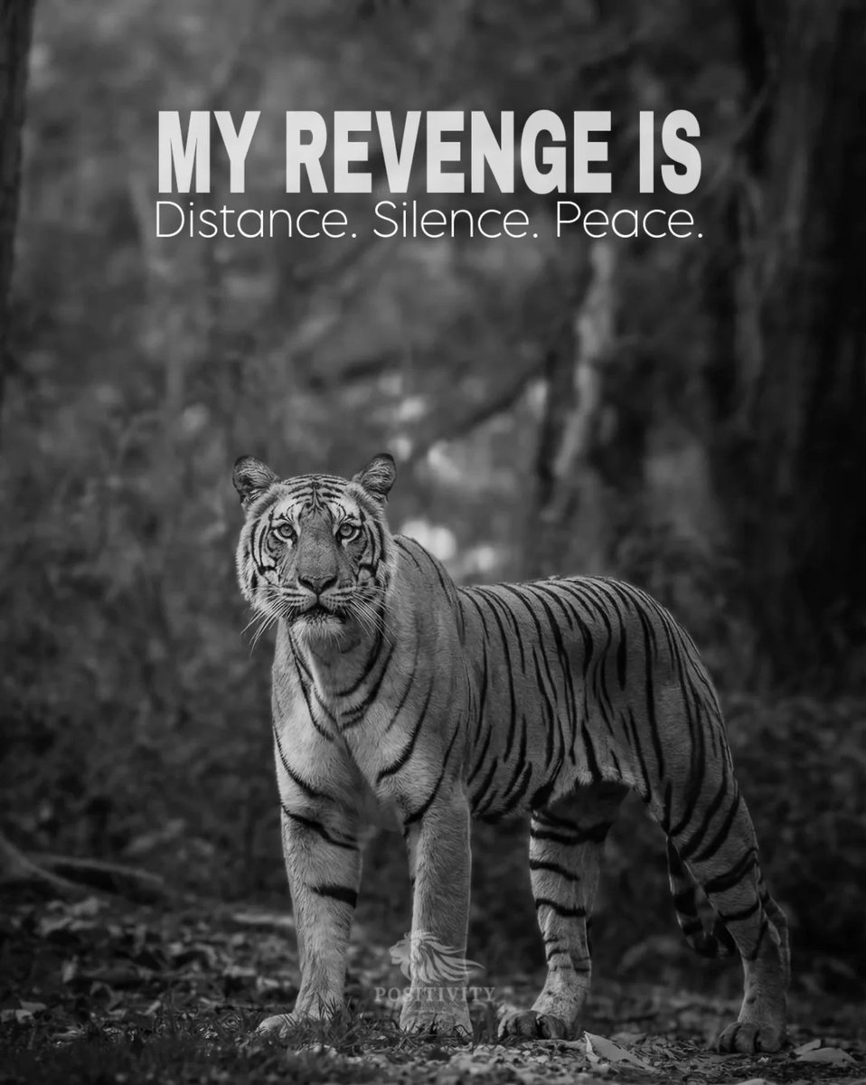 Mind Essentials (@mind_essentials) on Twitter photo 