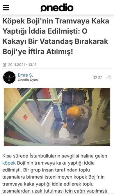 Dünyada Boji’yi hala unutmayan güzel insanlar var.

Boji bu ülkede köpeklerin başına gelecek olanın habercisiydi.😔