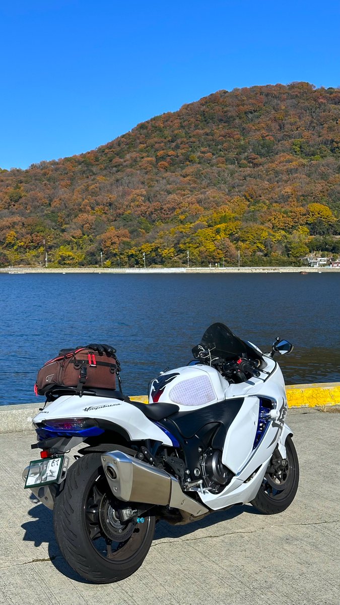 とらちゃん (@torachan675r1) / Posts / X