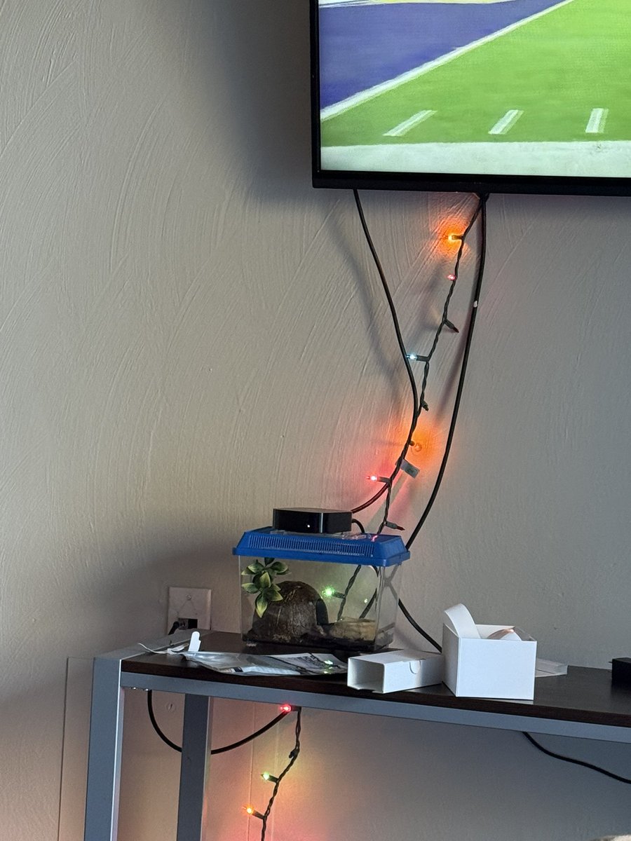 setup my apple tv on top of my scorpion cage with hopes that the frequencies it emits gives him superpowers