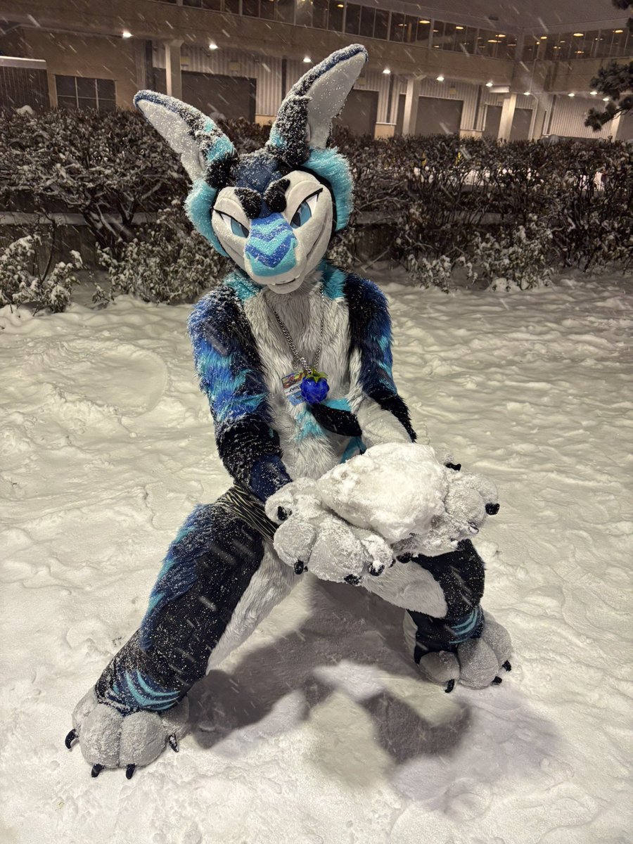 Razz/Reef 🦈🦊 🔜 MFF tweet media