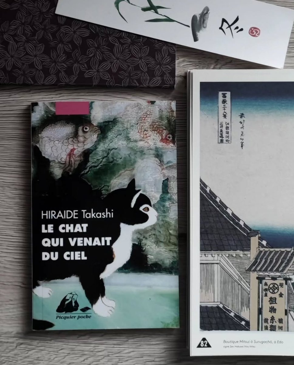 C'est le premier roman de l'auteur Takashi Hiraide qui est un poète japonais. 
Dans cette autobiographie romancée, il décrit, avec une virtuosité propre à sa plume poétique, la vie d'un couple qui emménage dans un pavillon entouré d'un jardin luxuriant et plein de vie, où un chat
