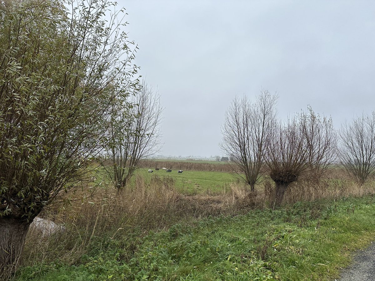 Heerlijk rondje. 
Nu #schaapjes tellen 🐏🐑🐑🐑🐑