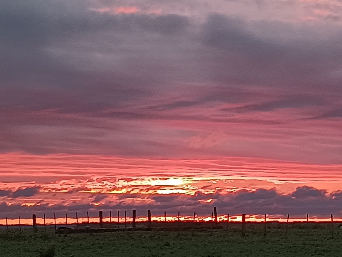 Carlitos Duarte 🇺🇾🇺🇾 (@cardugall79) on Twitter photo 