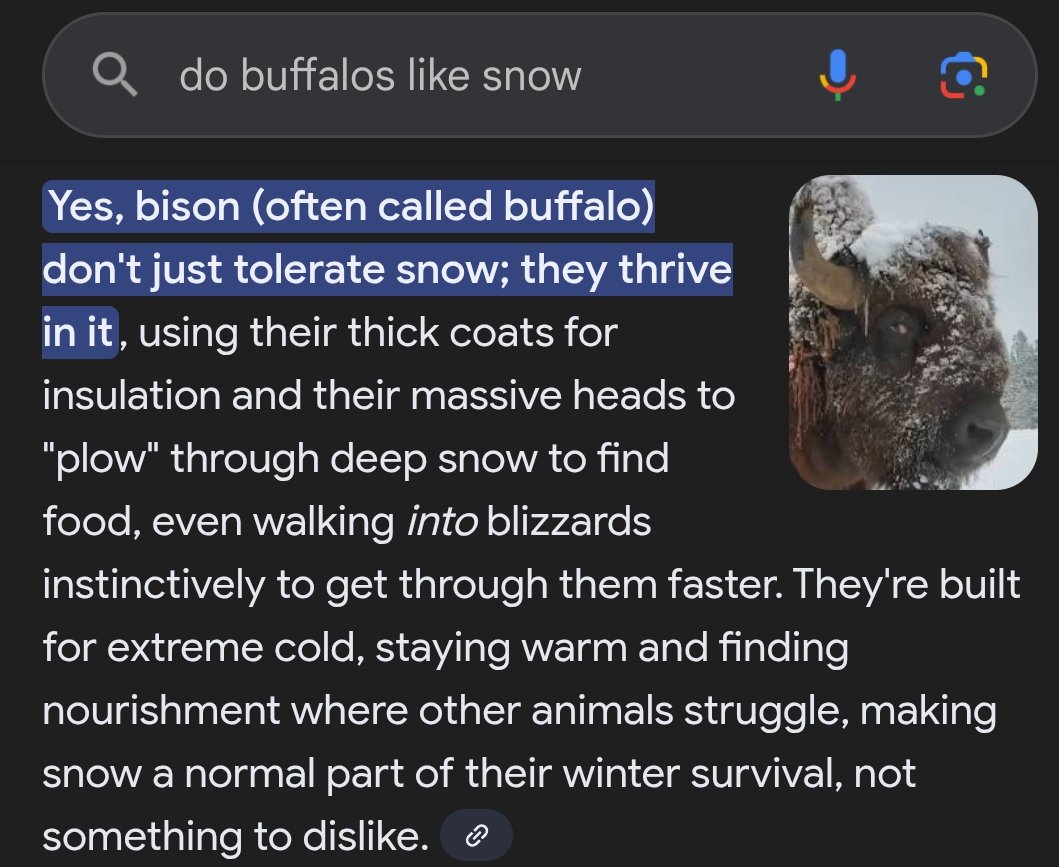 Josh Allen is #BuiltDifferent

#BillsMafia
