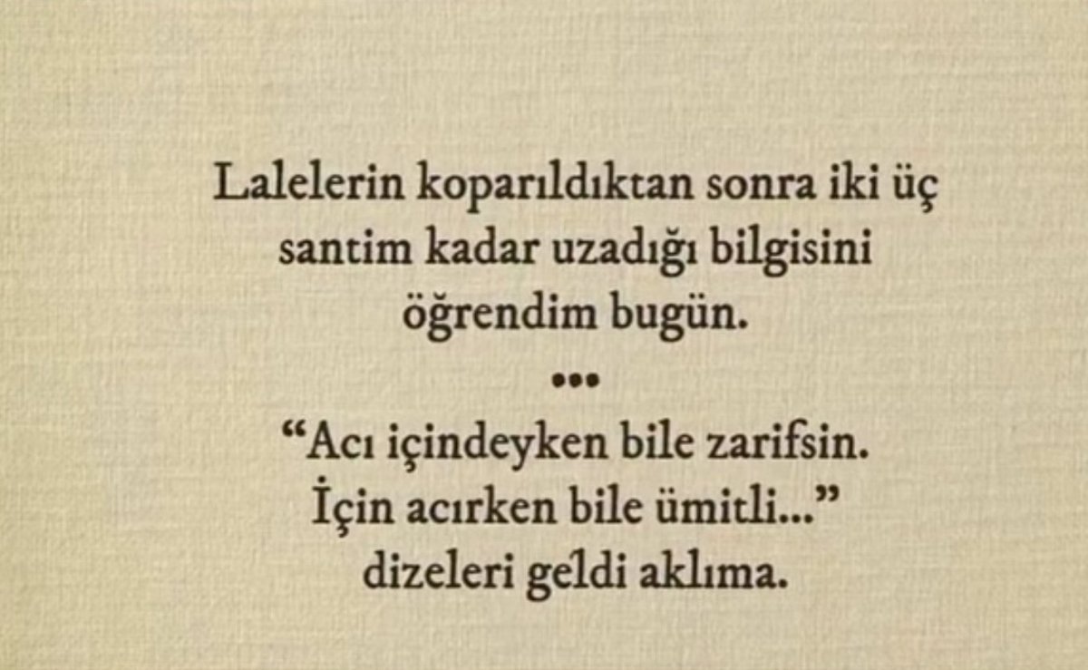 Bir gün var asra (@birgunvarasra) on Twitter photo 