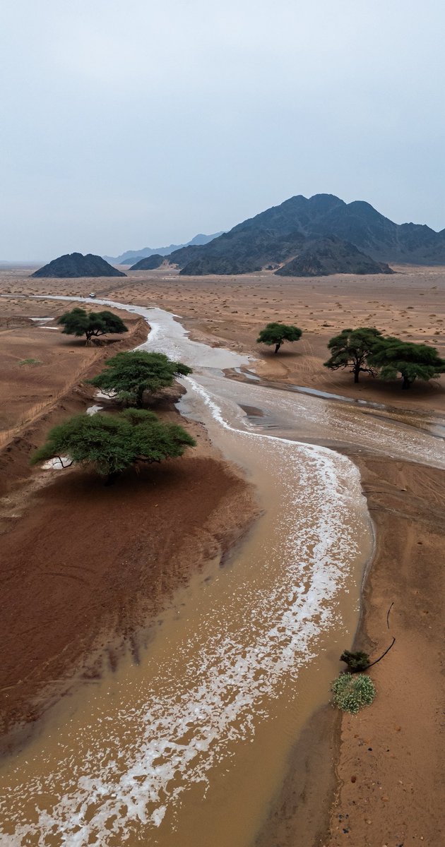 العلا، شمال غرب المملكة العربية السعودية 
🇸🇦 
AlUla, northwestern Saudi Arabia