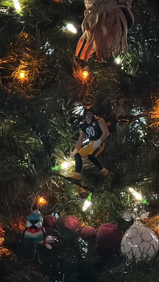 RelayLisa's tweet image. Guess he can stay on the tree…@steelers @DVERADIO