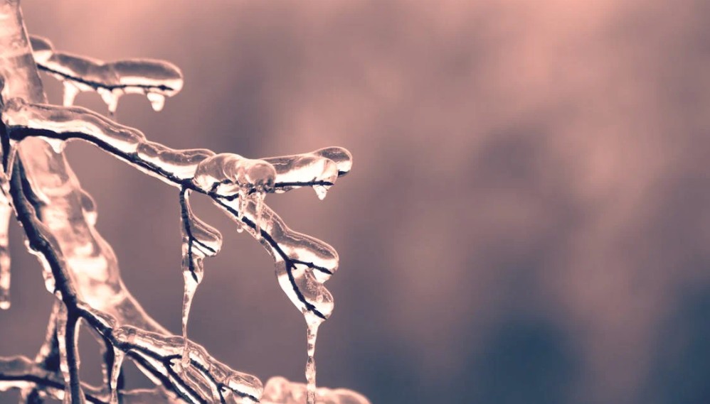 BayObserver's tweet image. Cold Weather Alert declared for Hamilton as temperatures forecast to plummet
bayobserver.ca/cold-weather-a… #Hamont #BurlON #ColdWeatherAlert