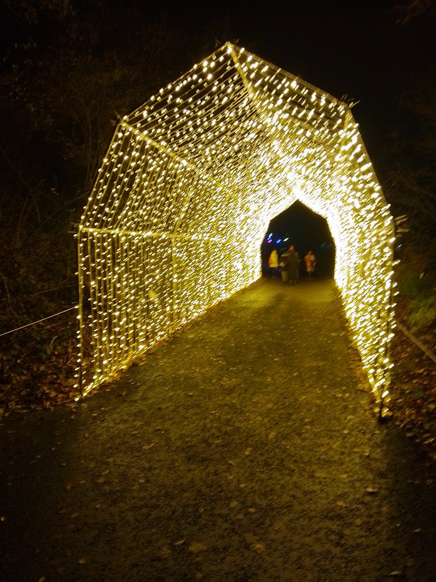 Bevl85's tweet photo. Enjoyed the walk of #WinterLights @Brands_Hatch tonight https://t.co/DedciuZ1X7