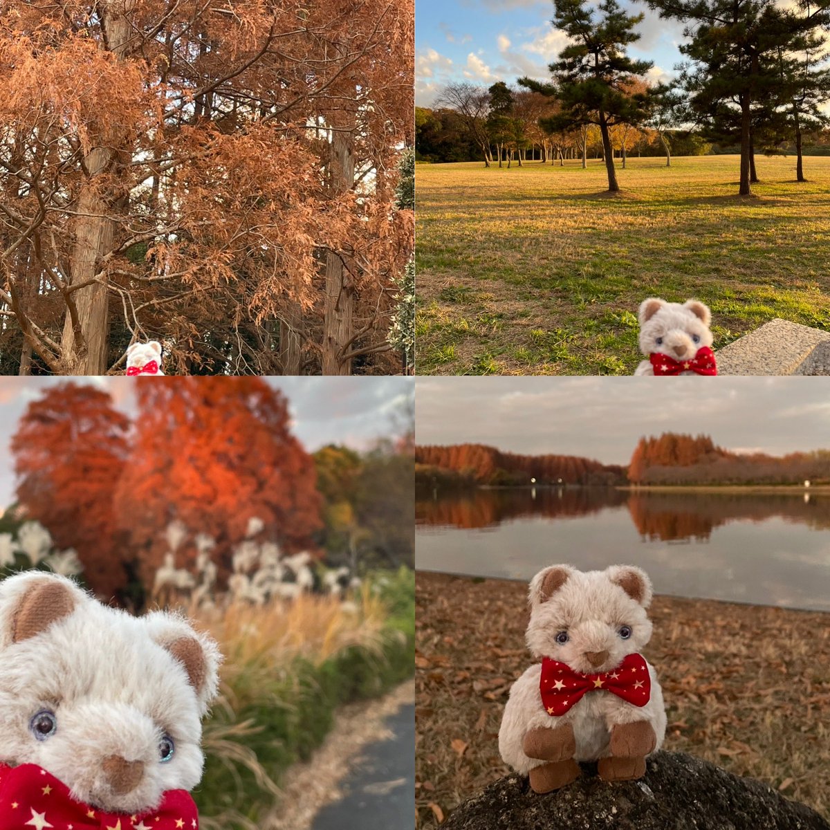 水元公園を歩いてきましたー！