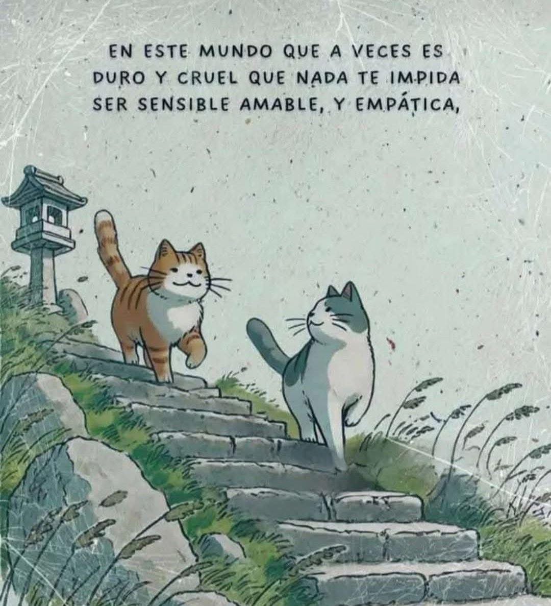Dilo con gatitoz tweet media