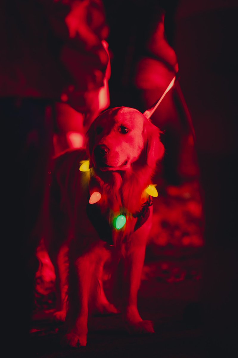 Truck 1, Ambulance 1, &amp; our admin team had a great time bringing Santa to the Town of University Park’s annual Christmas Tree Lighting last night. Thank you for inviting us &amp; for your continued partnership and support! Wishing everyone a great start to the holiday season. #hv1fd