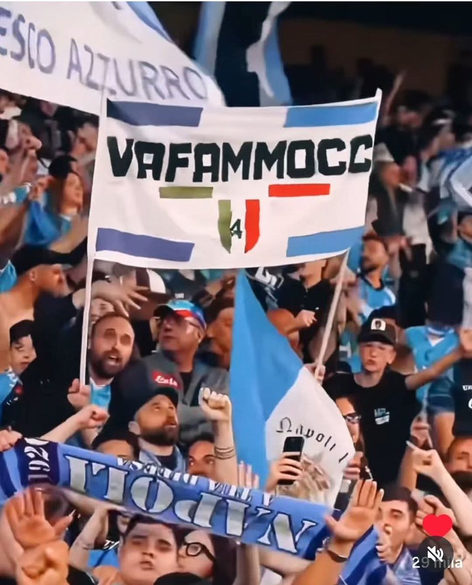 Vincenzo Tolli tweet media