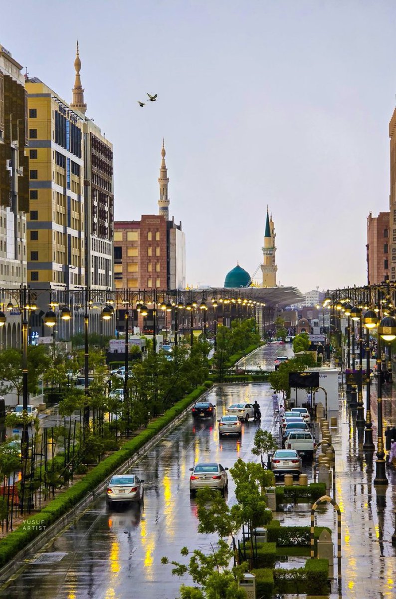 غيثاً هنيئاً يا أهل المدينة ❤️