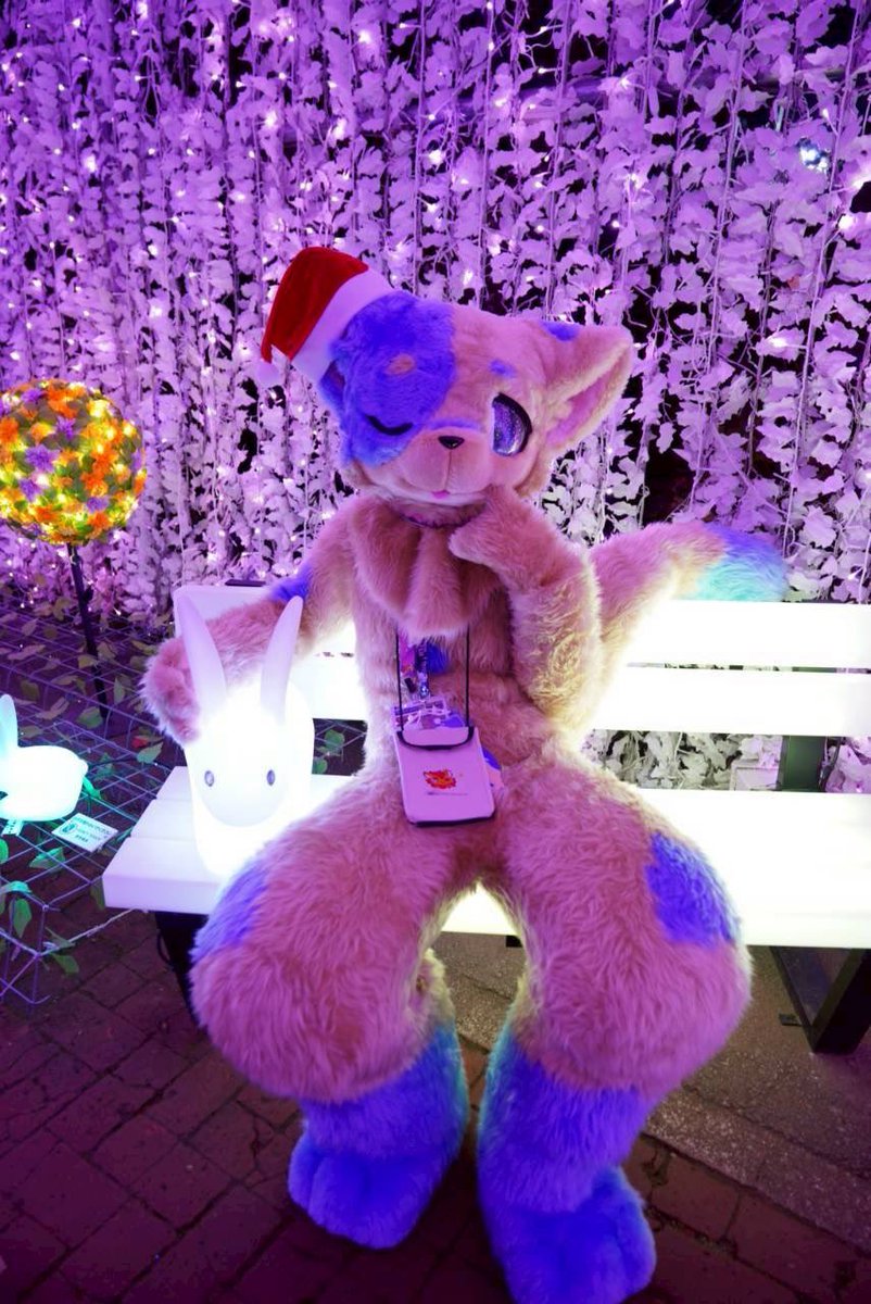 僕、ちゃんとお座りして待ってたよ！
偉いでしょ！褒めて！💤🐈
#Kemocon18 
#ケモノをみて今週もがんばりマンデー
#守夜の寝顔