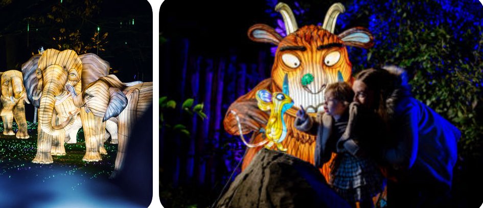 ✨ WIN 4 FREE TICKETS – Lanterns of the Wild at Twycross Zoo ✨

I am  giving one lucky winner FOUR FREE TICKETS to experience the magical Lanterns of the Wild at Twycross Zoo 🦁🌙

Step into an illuminated world after dark, with over 2,000 stunning lanterns, giant glowing
