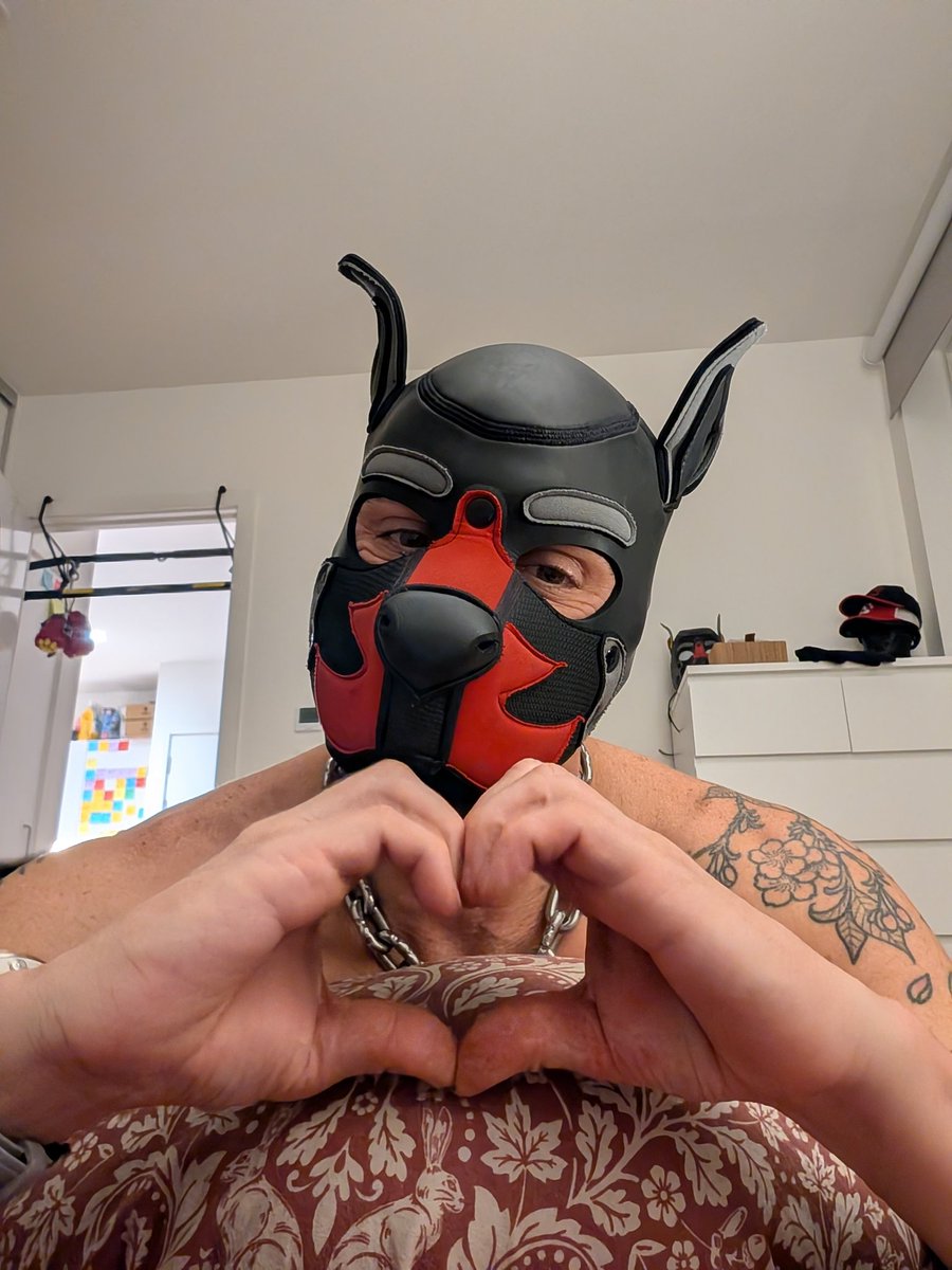 @flashmutt.bsky.social tweet media