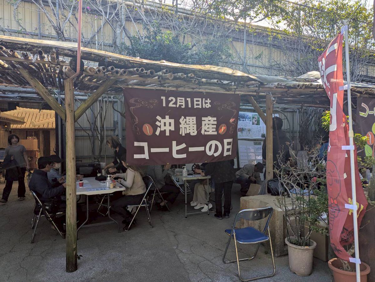 沖縄コーヒー畑 tweet media