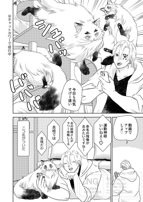 猫レンゴクのいる暮らし)赤い残像 