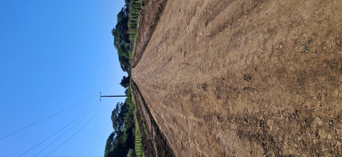 Dixami Rodríguez Gómez tweet media