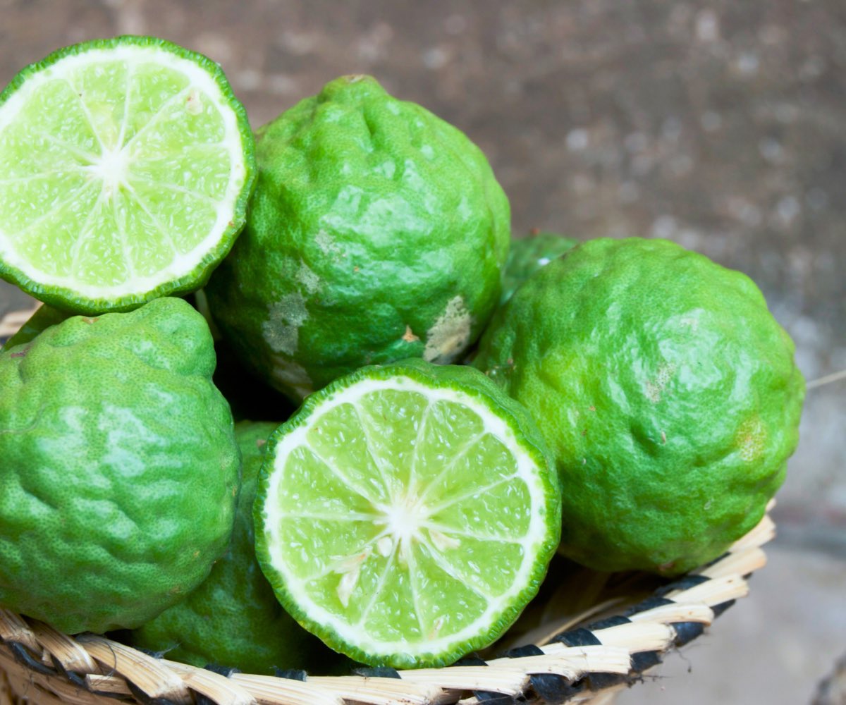 hftribe's tweet photo. Discover a colorful world of citrus fruits you never knew existed, from rare finger limes to the fragrant tangelo. Each one brings its own story and taste, offering plenty of inspiration for your cooking and gardening.

https://t.co/hV55vNHYo6 https://t.co/SIJkULtdkW