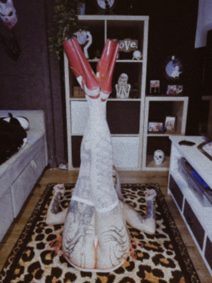 Jac Evans tweet media