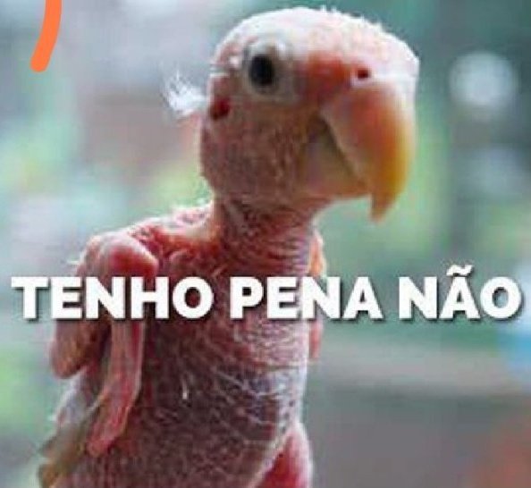 Pierre7941Jean's tweet photo. @fortalezanews_ Caiu, foi??? https://t.co/JAEXEjlNKU