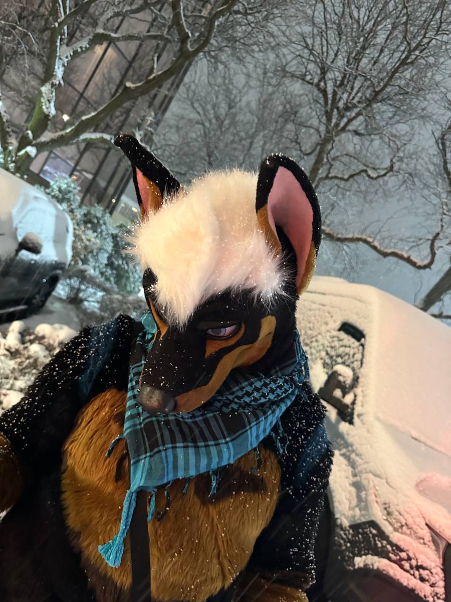 🤍Kaspar🤍 tweet media