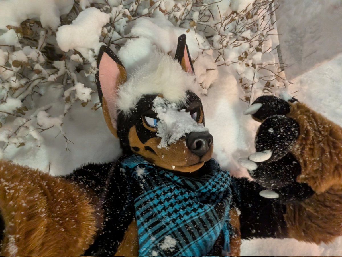 🤍Kaspar🤍 tweet media