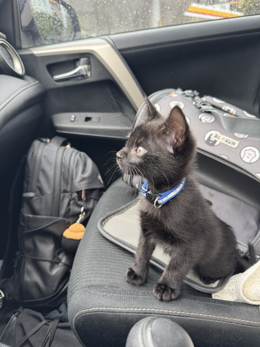 no one prepared me for my son to grow up.