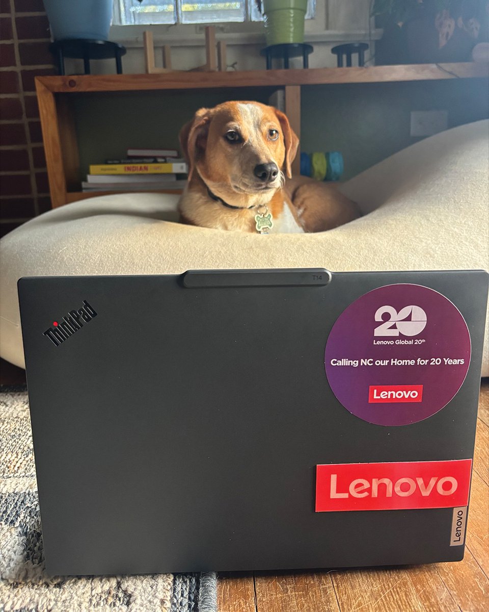 LenovoHR's tweet image. &quot;Pas mi je pojeo zadaću&quot;. 🐶 
Pas:

#ThinkPad