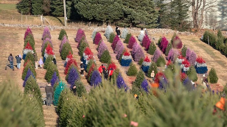 Weird NJ tweet media