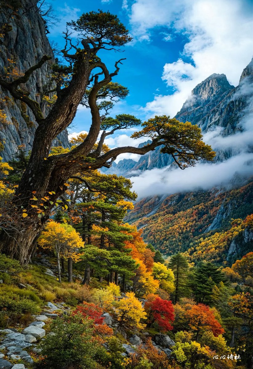 心心（Liu Yu） tweet media