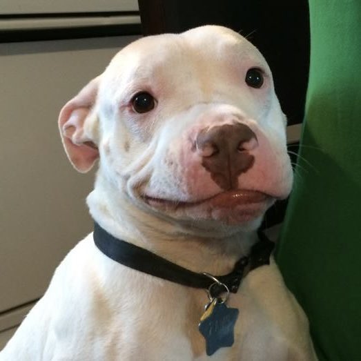 🫵🏽 tweet media