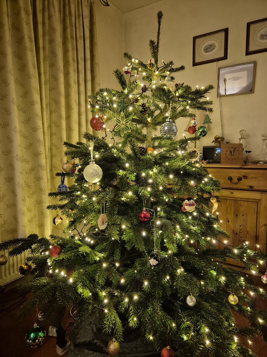 Some Christmas Cheer! 🎄