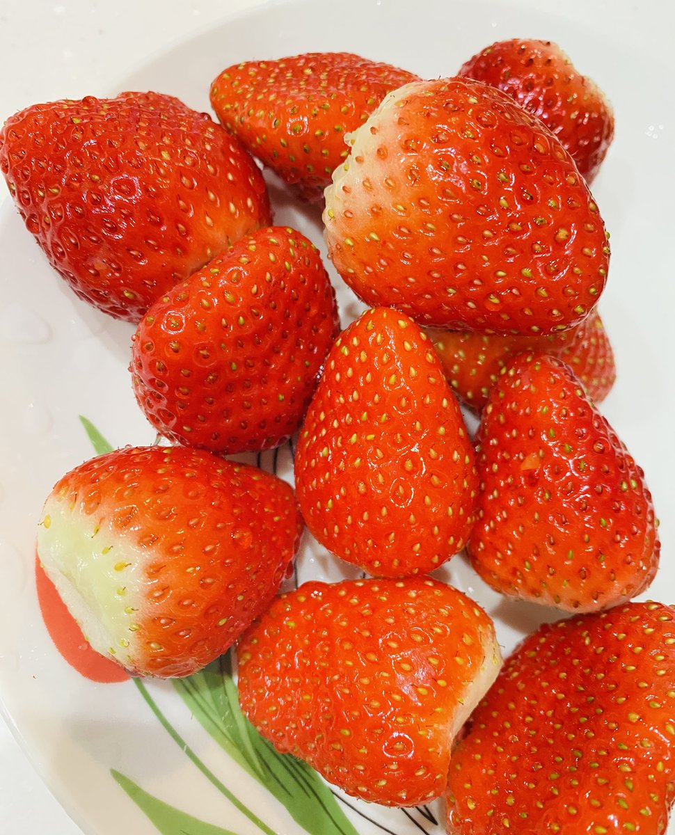 あいさんポチッと🥬