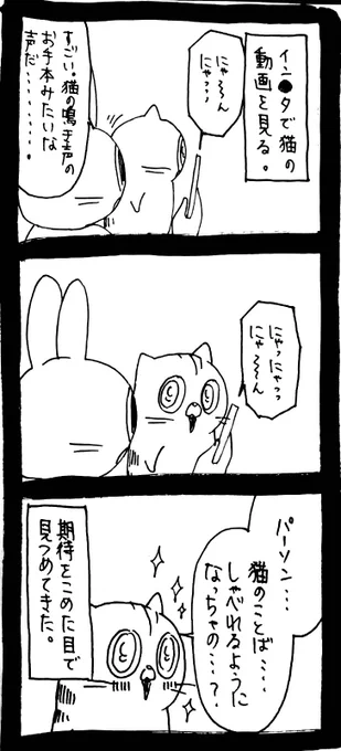 猫語喋れるようになったと思って 