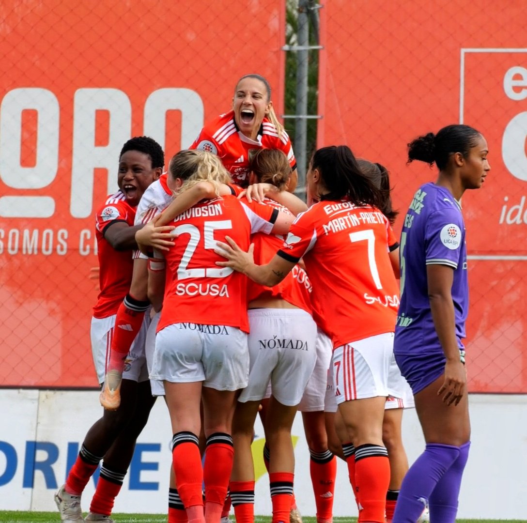 joaorosaribeiro's tweet image. 📽️🦅

#lumixgh6
#framebyframe