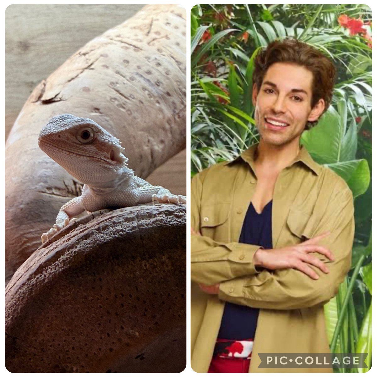 clare madge tweet media