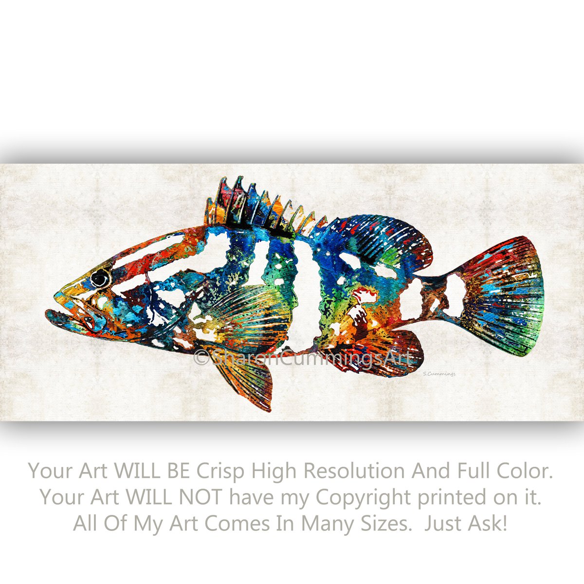 Terracegallery's tweet image. Colorful Grouper: fineartamerica.com/featured/color… #fish #fishing #grouper #floridagirl #florida #beach #beachvibes #beachlife #coastaldecor #giftideas #fishinglife #fishingtrip #SharonCummingsArt #BuyIntoArt
