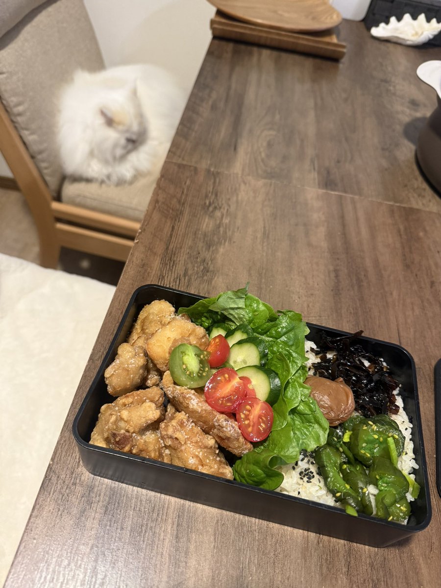 おはようございます☀
さあ〜また今週がスタート💦
水曜日は撮影で休み🎌まだ頑張れるＺ

昨日は、ししろ君がお家訪問してくれました〜グランピング体験😂

で、弁当は、昨日作った唐揚げ残り🍗