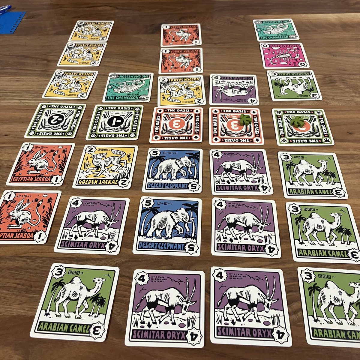 動物が群れる🐘🐘🐘
『デスペレートオアシス』

動物（数字）を並べてオアシスの奪い合い！高得点オアシスのラインで数字を伸ばしたいのに、動物は同じ種類が出たらそっちに走って行ってしまう🦌💨対岸（相手側）に引っ張られたり、逆に相手の場に弱いカード出したり、2人用ならではの熱い駆引面白い🤣