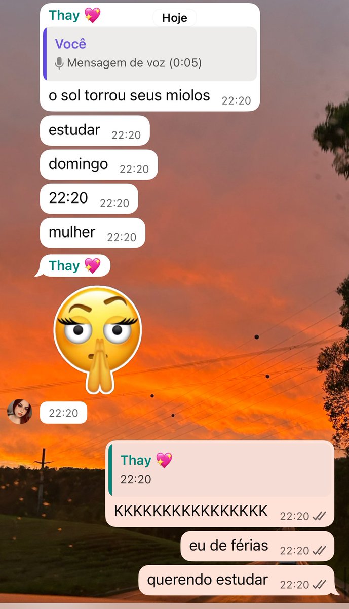 boa noite eu querendo estudar estando de férias