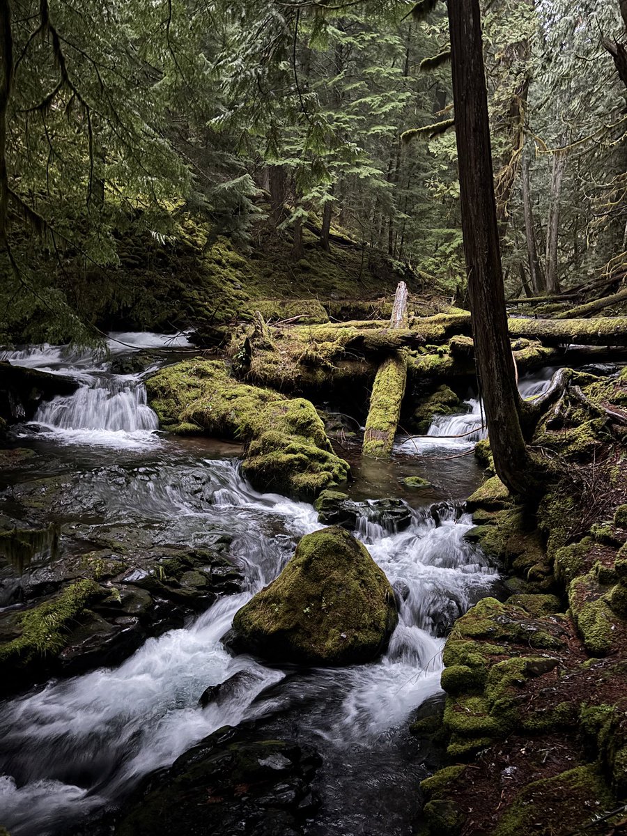 Be a chalice for God’s holy palace, devoid of all malice, crystallizing fire wise and divinizing all that you see, may you be enveloped by CHRIST loving ingenuity! I love you, God bless you, now and for eternity