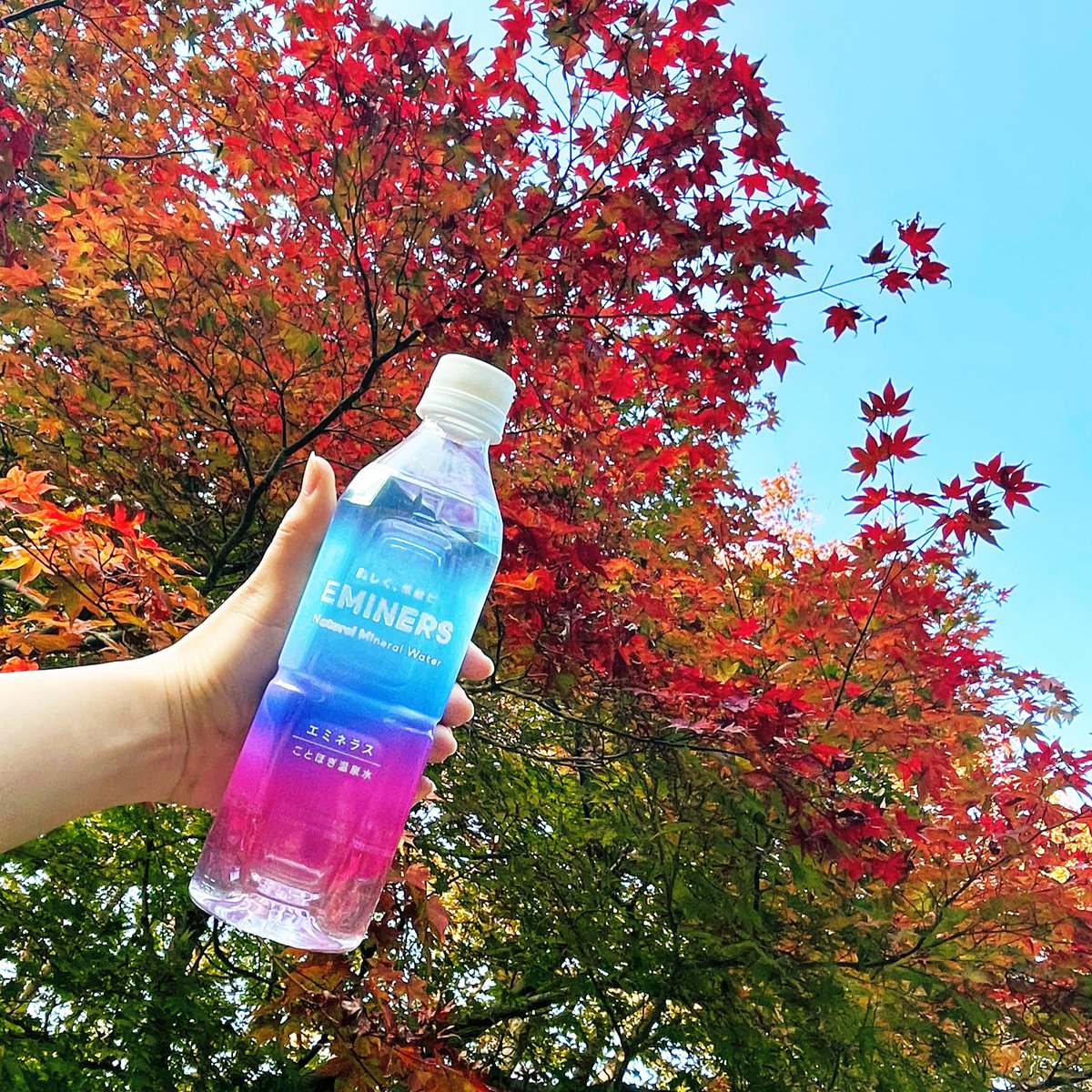 おはほぎ〜♨️☀️
週末いかがお過ごしでしたか？？

今週は業務上11月とおさらばできるよう
気合い入れていこうと思います🤨🔥

そしてそして、ずっとめんどくさくて
逃げてるんですけどそろそろ
夏服をクリーニングに出したい…笑
（なぜ週末にやらなかった）

クリスマスCPもまだまだ応募募集中✨